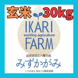 画像: 新米【７年産】みずかがみ　玄米３０kg　
