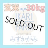 画像: 【６年産】みずかがみ　玄米３０kg　