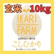 画像1: 新米【５年産】コシヒカリ　玄米10kg（5ｋｇ×2袋） (1)