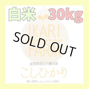画像: 新米【６年産】コシヒカリ　白米30kg（30ｋｇ×1袋）