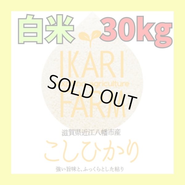 画像1: 新米【６年産】コシヒカリ　白米30kg（30ｋｇ×1袋） (1)