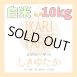 画像: 新米【６年産】しきゆたか　白米１０kg（5ｋｇ×2袋）