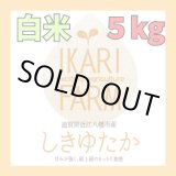 画像: 新米【６年産】しきゆたか　白米5kg