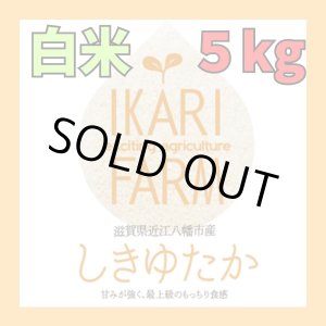 画像: 新米【６年産】しきゆたか　白米5kg