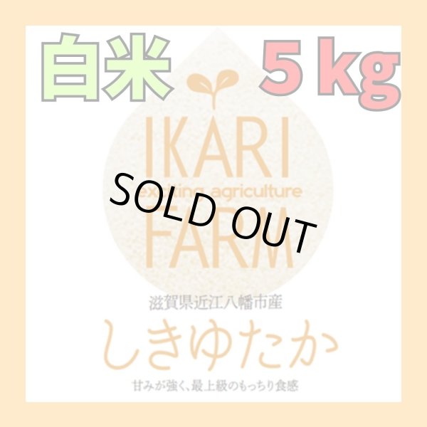 画像1: 新米【７年産】しきゆたか　白米5kg (1)