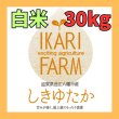 画像1: 新米【６年産】しきゆたか　白米３０kg (1)
