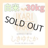 画像: 新米【６年産】しきゆたか　白米３０kg
