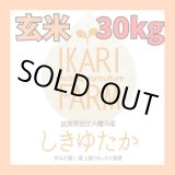 画像: 【６年産】しきゆたか　玄米３０kg