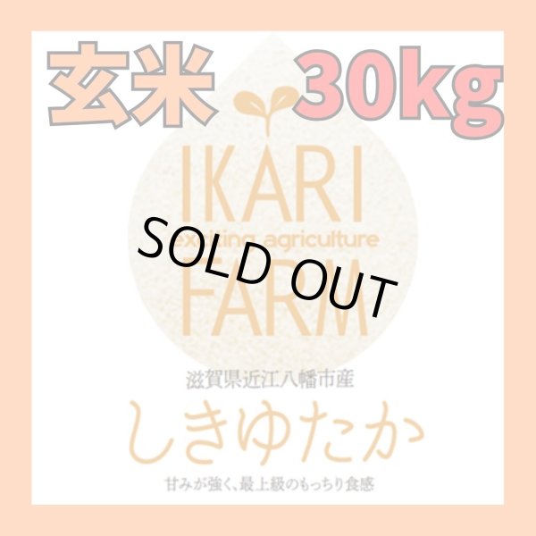 画像1: 新米【７年産】しきゆたか　玄米３０kg (1)