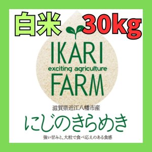 画像: 新米【７年産】にじのきらめき　白米30kg