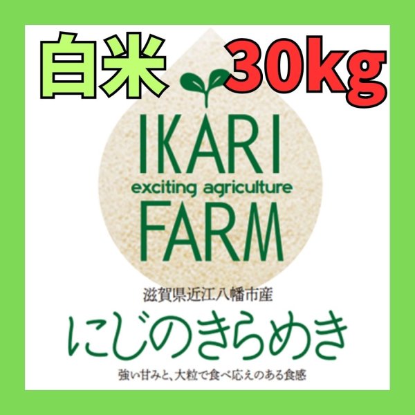 画像1: 新米【７年産】にじのきらめき　白米30kg (1)