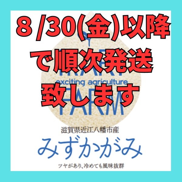 画像2: 新米【７年産】みずかがみ　玄米５kg　 (2)