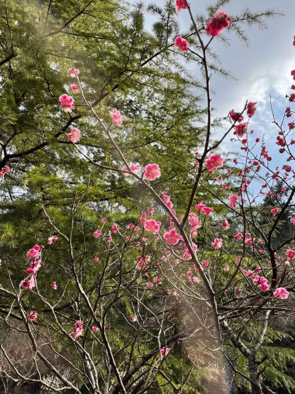 画像: 「自然環境に感謝しよう、そして地球の悲鳴に耳を傾けよう～社会貢献よりも、SDGSよりももっともっと大切なこと～」