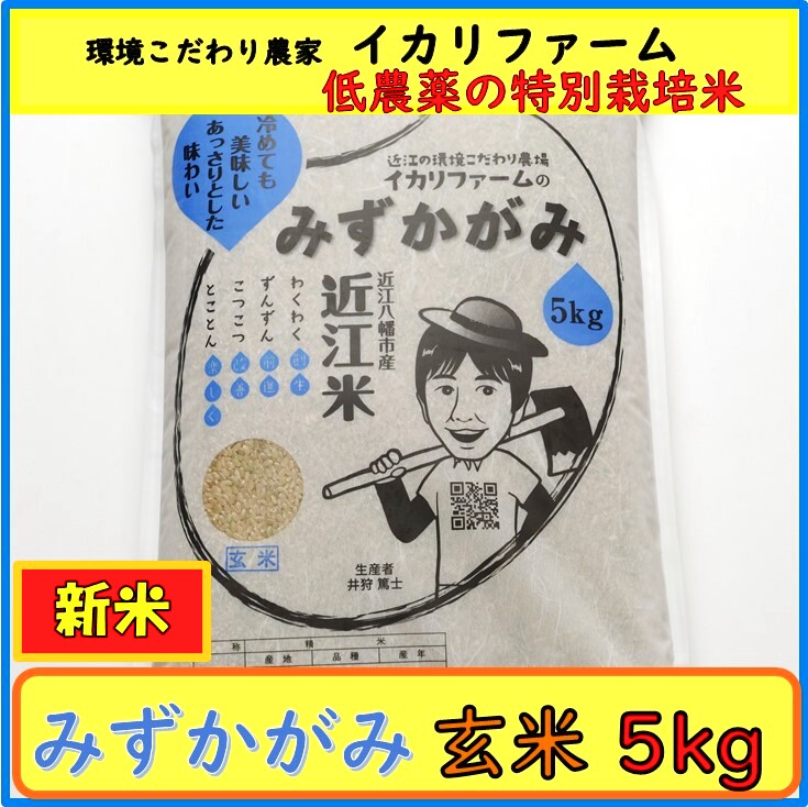 新米!【3年産】みずかがみ 玄米5kg - イカリファーム 新米!【3年産】みずかがみ 玄米5kg - イカリファーム