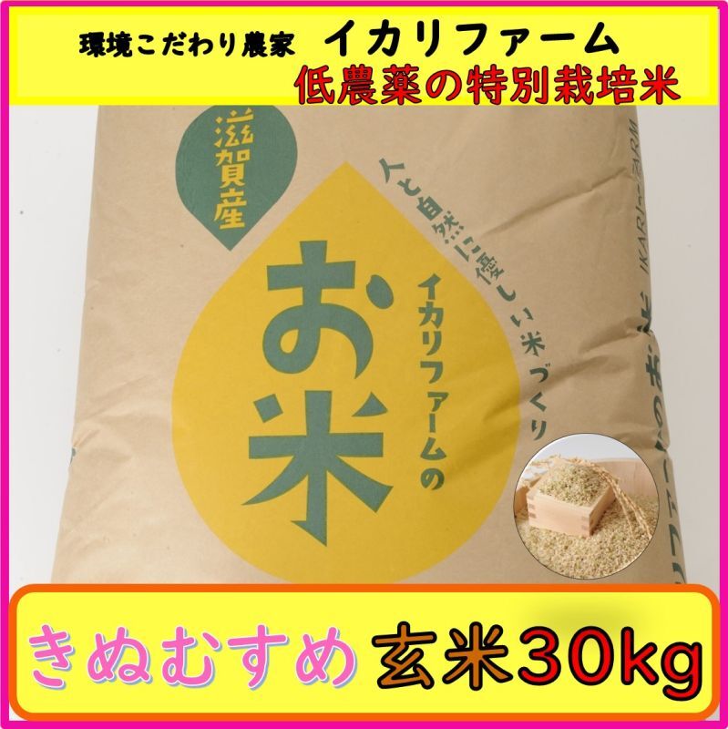 新米 令和5年 産 キヌヒカリ 玄米30キロ 淡路島 精米小分け可 30kg