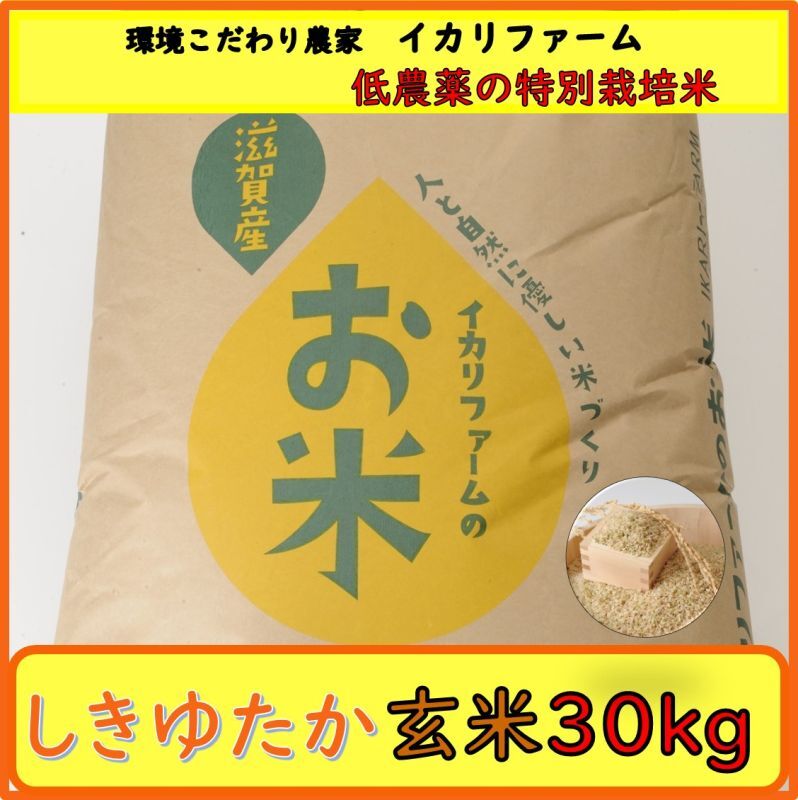 コシヒカリ　玄米30kg　1等米 1等 丹後コシヒカリ30kg 玄米 久美浜産 | 最高品質の地元産米