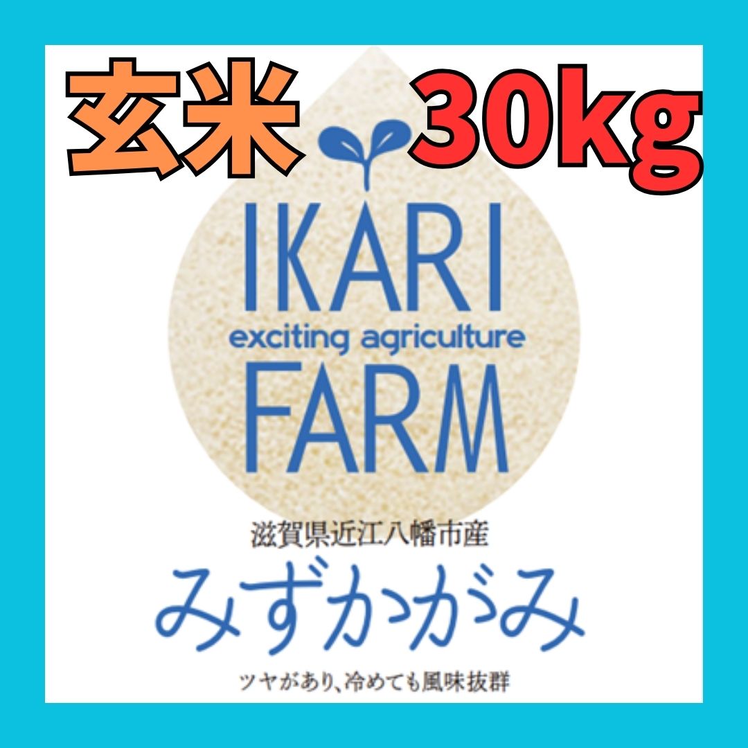 新米【５年産】みずかがみ 玄米３０kg - イカリファーム